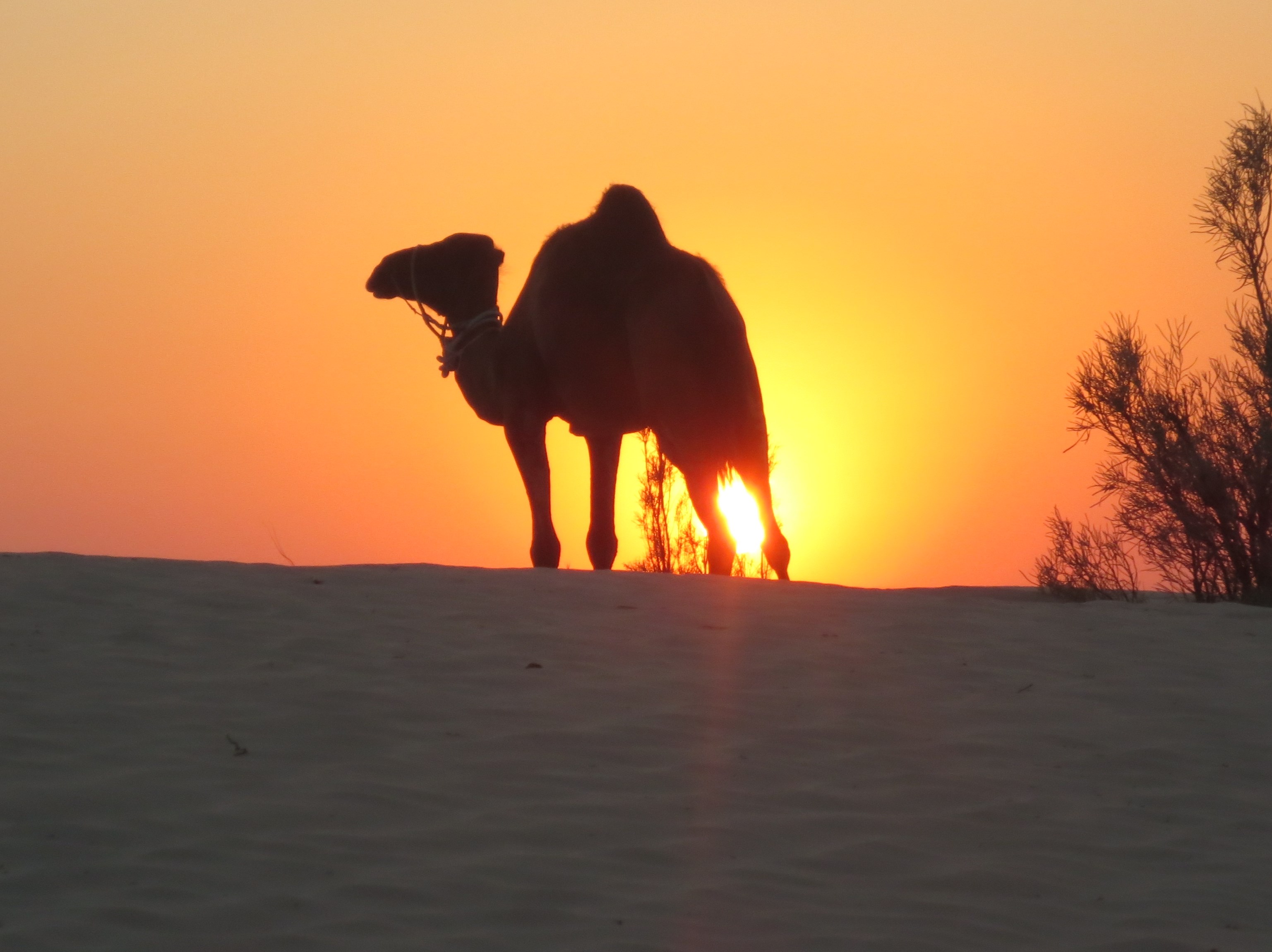 Randonnée Chamelière